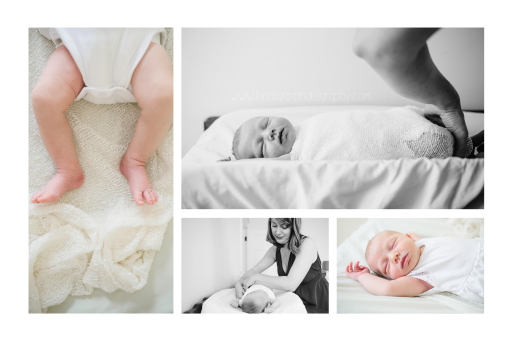 st. paul newborn photographer