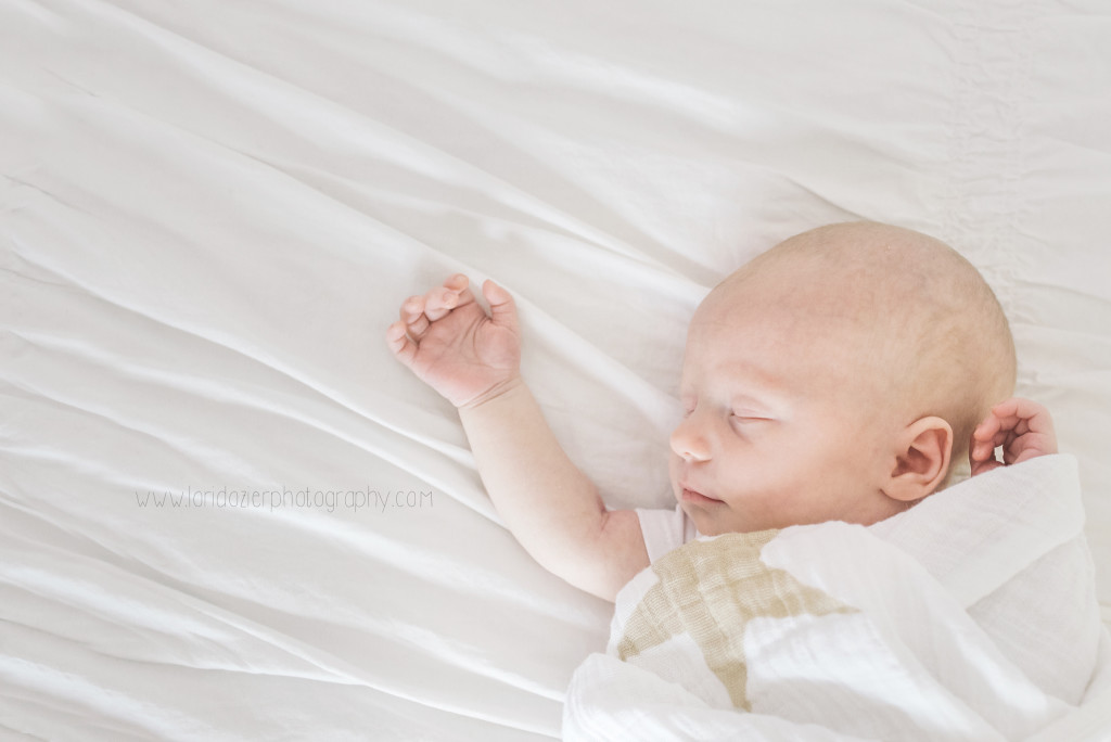 victoria lifestyle newborn photographer