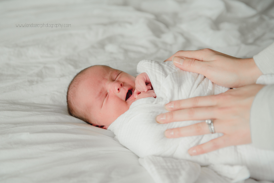 Victoria MN lifestyle newborn photographer