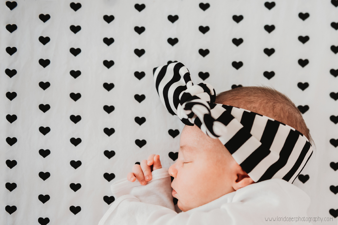 chaska newborn photography