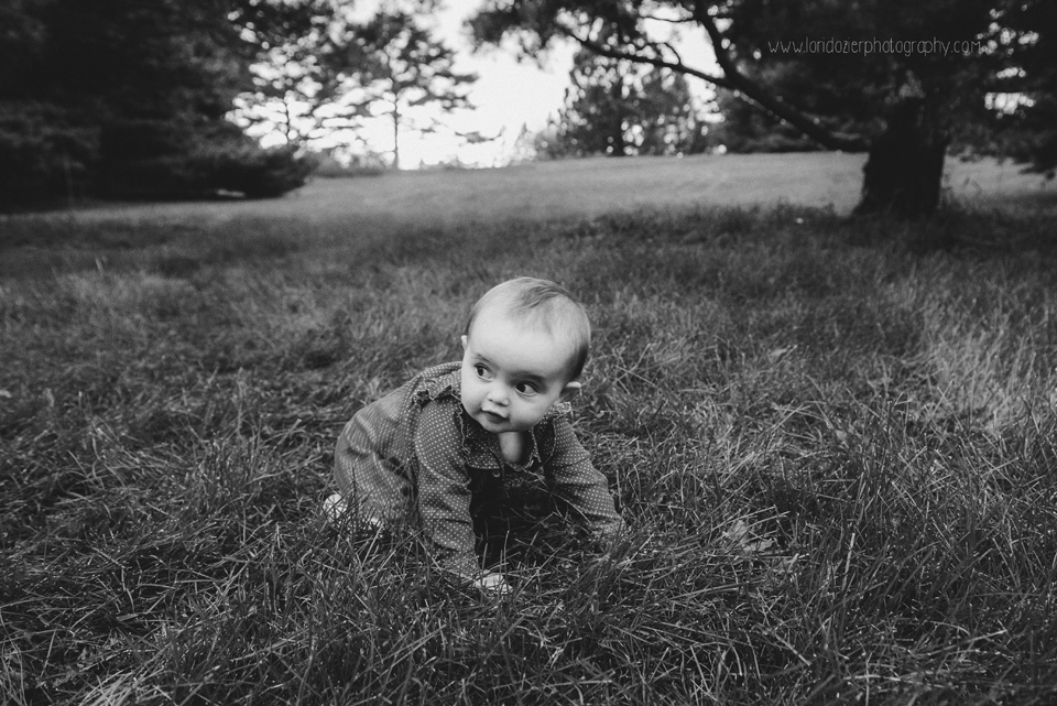 minnetonka family photographer 