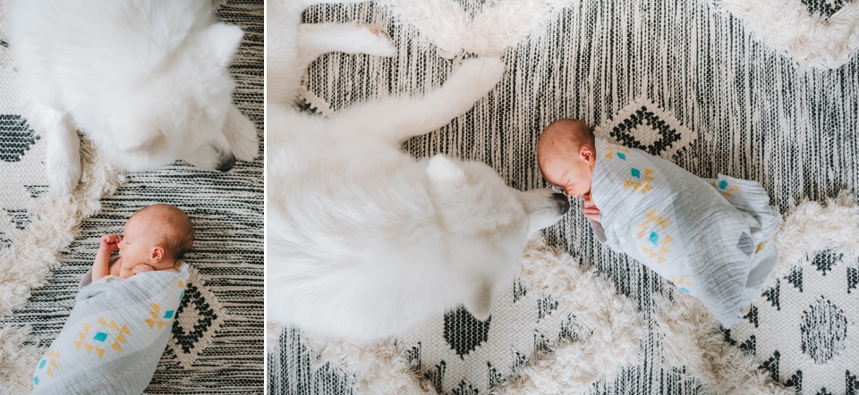 minneapolis lifestyle newborn photographer