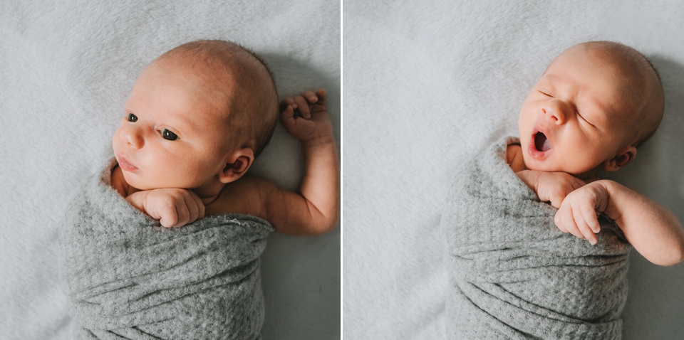 twin cities newborn photographer