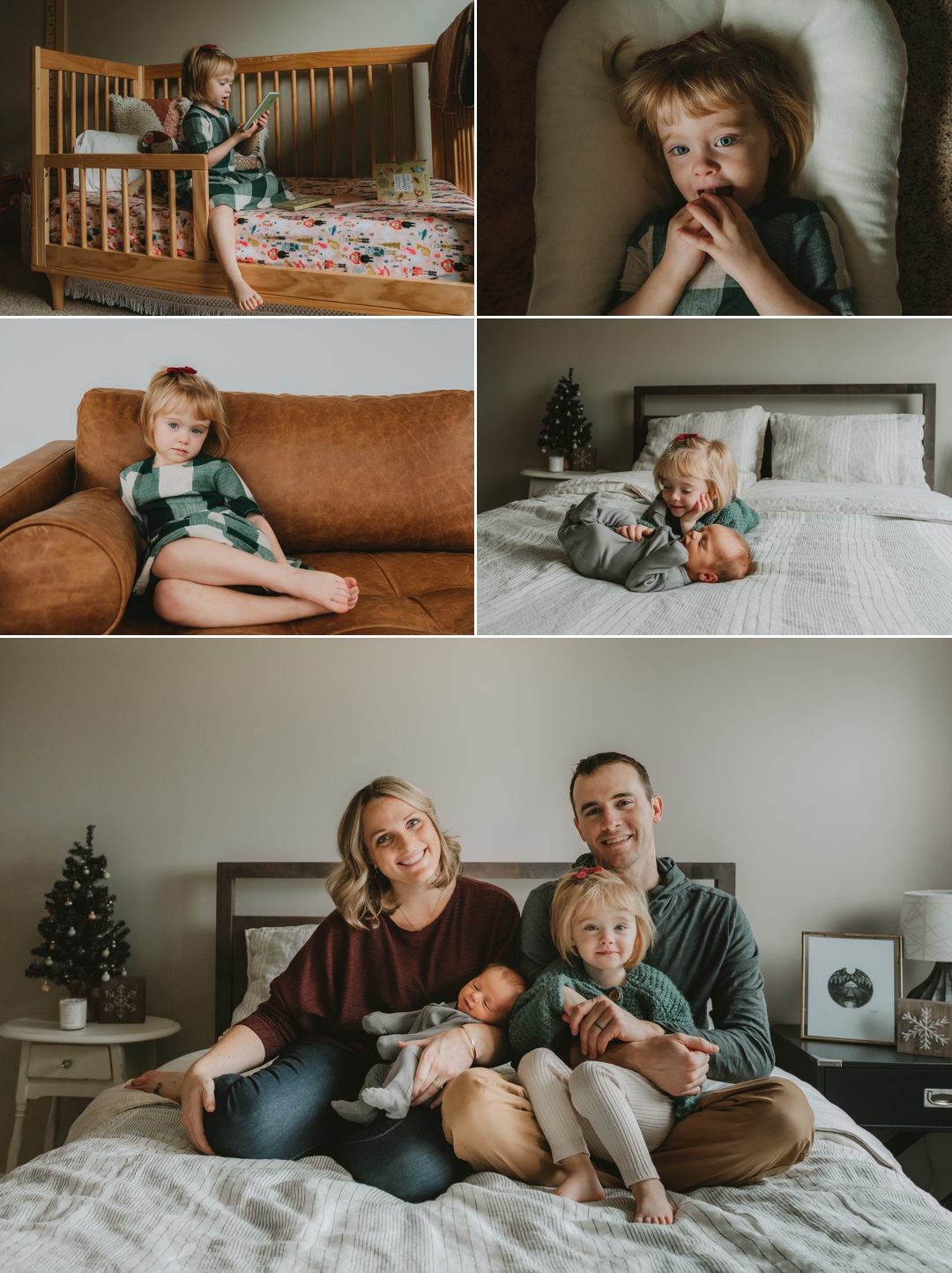 Maple Grove Newborn Photographer